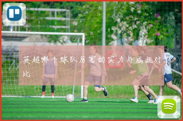英超哪个球队厉害的实力与成就对比