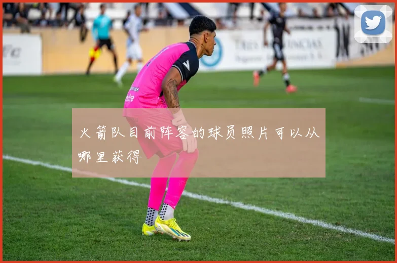 火箭队目前阵容的球员照片可以从哪里获得