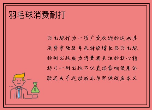 羽毛球消费耐打